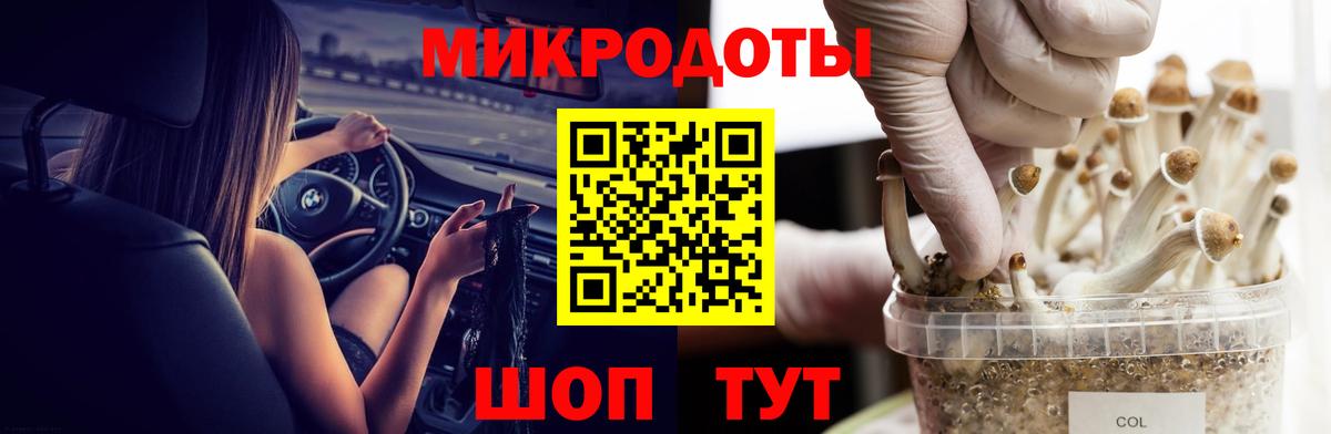 Псилоцибиновые грибы Psilocybine cubensis  Вход с VPN  Заволжье  Псилоцибиновые грибы прущие грибы 